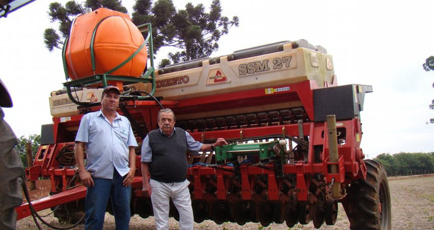 Agricultores inovam com técnicas de plantio de trigo no estado de São Paulo