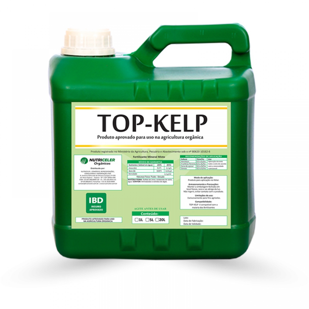 TOP KELP