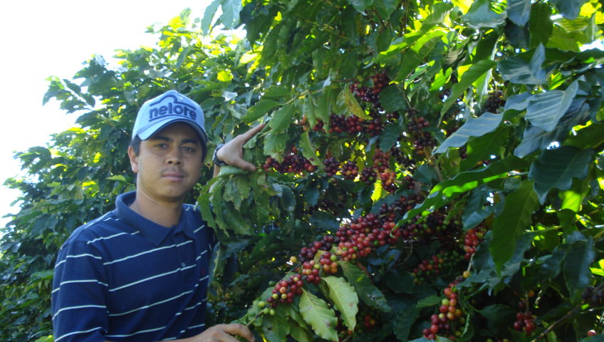 Tecnologia de fertilizantes fluidos proporciona manejo mais prático e aumento de produtividade do café